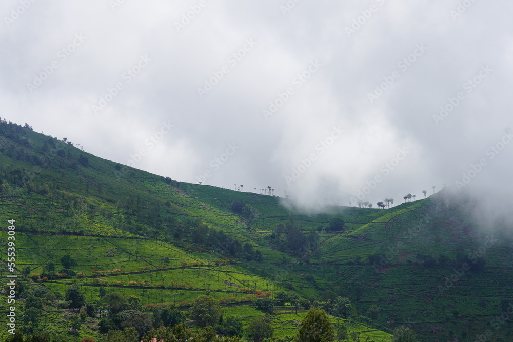 fog in the mountains