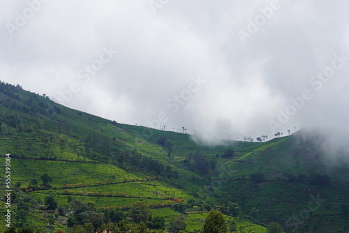 fog in the mountains © Sarvesh