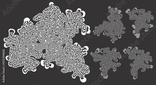 organic growth pattern, 5 variants