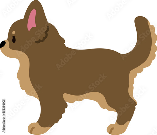 Simple and cute illustration of long haired Chihuahua in side view flat colored