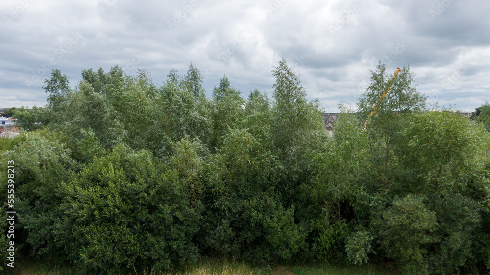 plein air over water with greenery plein air over water with greenery