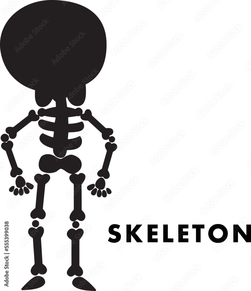 skeleton isolated vector Silhouettes skeleton isolated vector Silhouettes