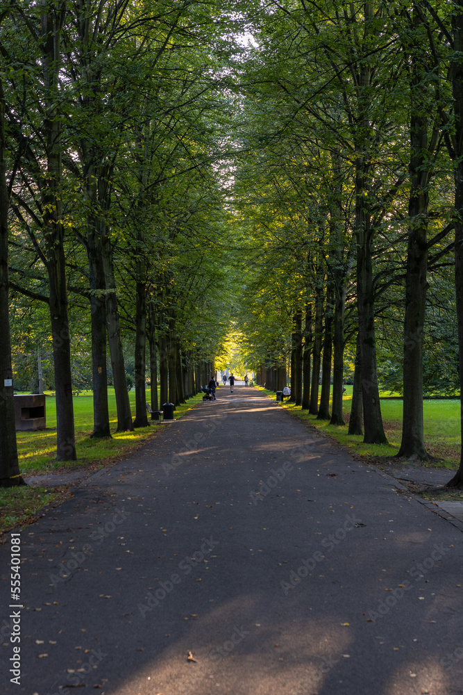 Walking in the park