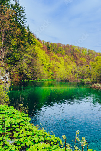 Fototapeta Naklejka Na Ścianę i Meble -  クロアチア　世界遺産　プリトヴィツェ湖群国立公園