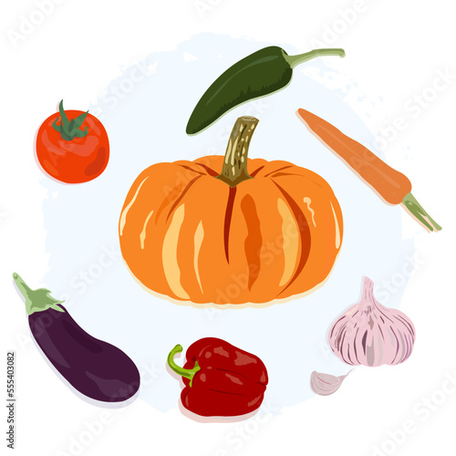 Vegetables pumpkin  bell pepper  jalapeno pepper  carrot  garlic  tomato  eggplant lie one after the other