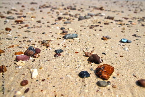 stone on the beach background