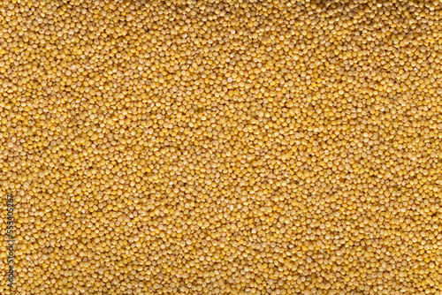 Background of raw millet seeds close up. Millet seeds texture.