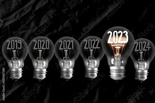 Light Bulbs with New Year 2023