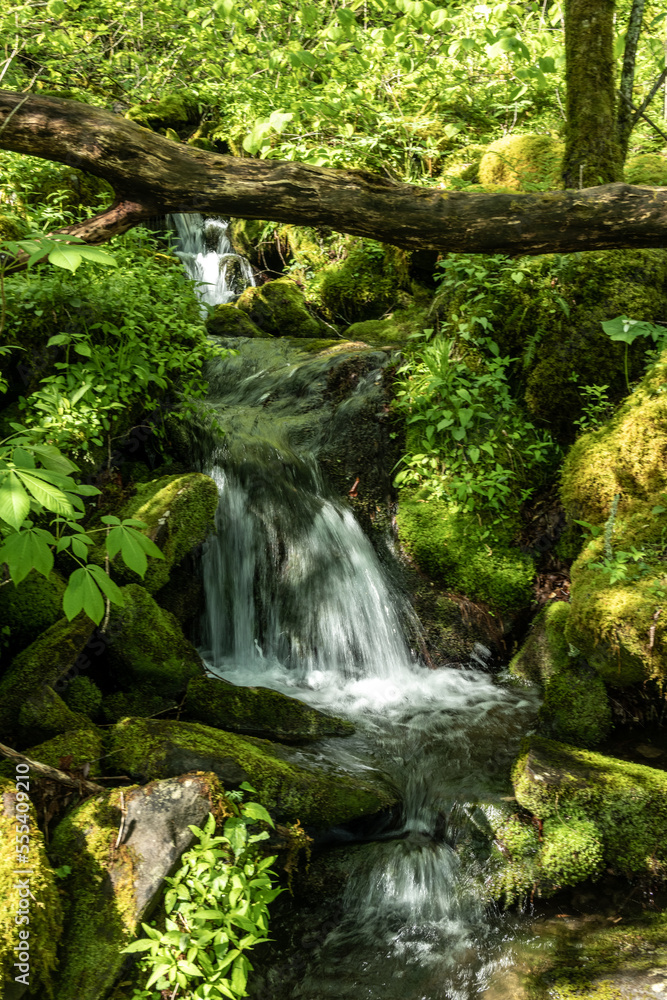 Waterfall in the Creek Along the Hike to Brushy Mountain Waterfall in the Creek Along the Hike to Brushy Mountain