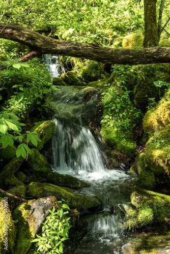 Fototapeta Naklejka Na Ścianę i Meble -  Waterfall in the Creek Along the Hike to Brushy Mountain