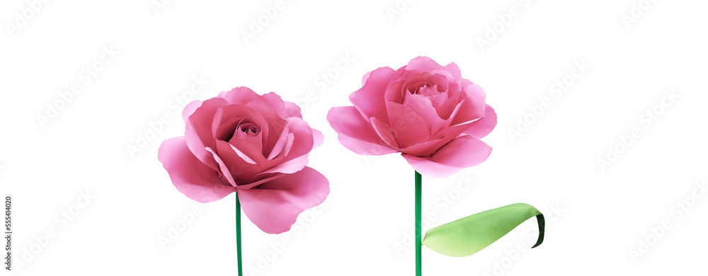 Pink rose paper on white background