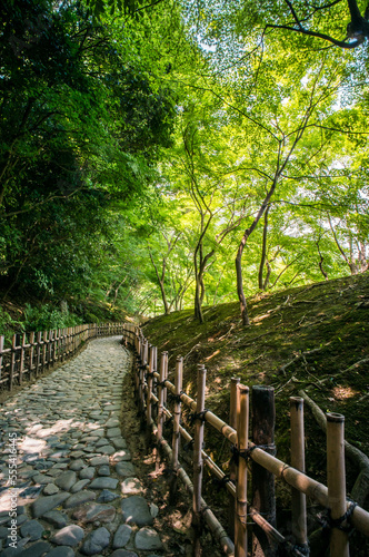 香川 栗林公園の新緑に囲まれた美しい散歩道