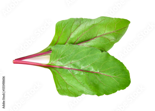 Quadro em tela Swiss chard leaves on a white background
