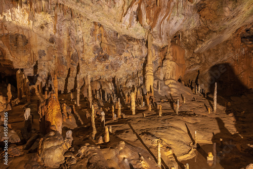 A forest of stalamites in the Postojna cave. The white spots is reflected light in water droplets