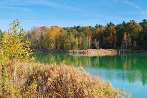 Herbstwald am See - Autumn forest by the lake