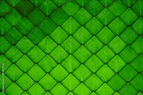 Light Green abstract vector illustration background