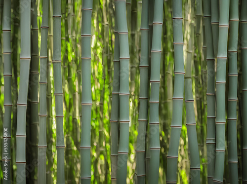 Illustration of bamboo forest, generative ai