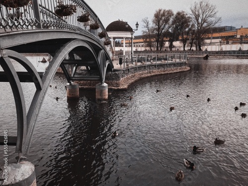 bridge over the river