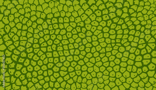 Jackfruit texture for pattern, vector art