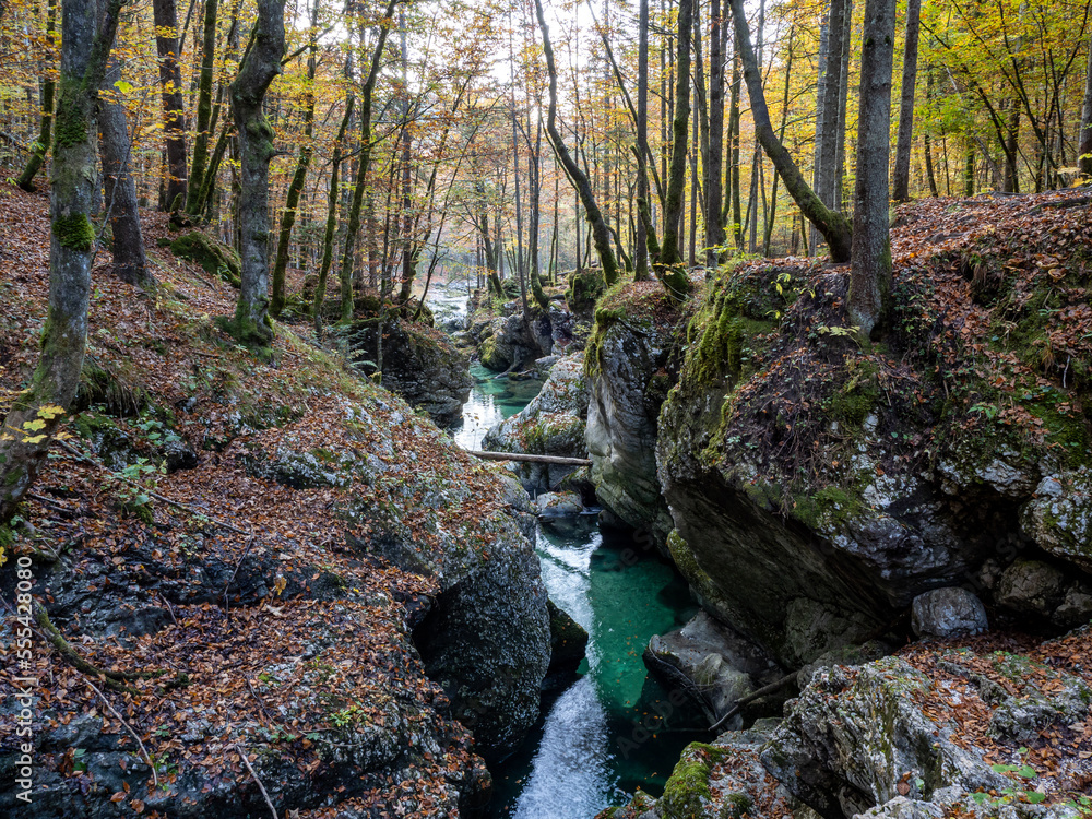 Obraz premium Mostnica gorge, Stara Fuzina, Slovenia