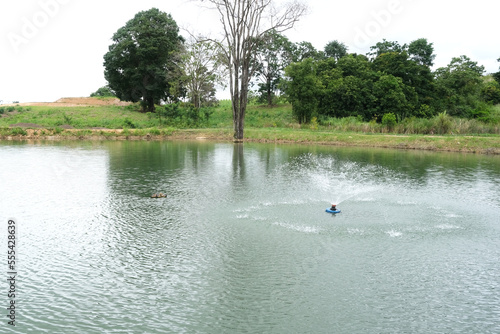 Common and small fish pond in a local fisheries.