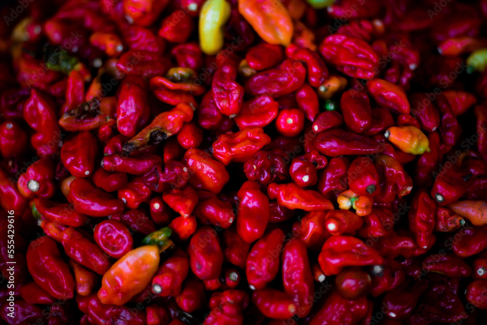 RED Chilli pepper ready to be stewed for party Jollof - hot chili pepper in a bowl RED Chilli pepper ready to be stewed for party Jollof - hot chili pepper in a bowl