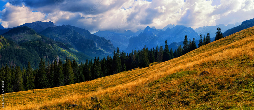 Fototapeta premium Tatry. Rusinowa Polana