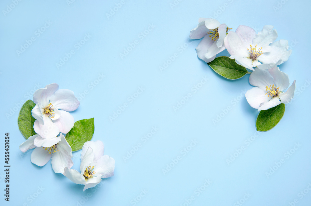 Obraz premium Spring background. Beautiful delicate fresh spring flowers, buds, green leaves on blue background flat lay top view. Springtime nature concept. Bloom, inflorescence, flowering
