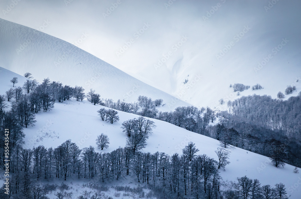 Beautiful winter dramatic landscape with snow on the trees