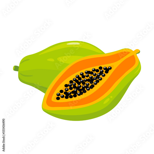 Papaya, cut fruit. Isolated vector illustration