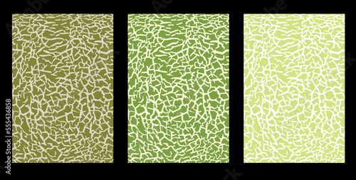 Japanese melon texture for pattern, Vector eps 10, perfect for wallpaper or design elements