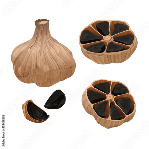 Delicious black garlic isolated on white background. Package design element with cutting path. Vector eps 10., perfect for wallpaper or design elements