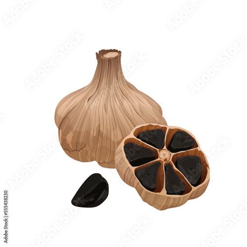 Delicious black garlic isolated on white background. Package design element with cutting path. Vector eps 10., perfect for wallpaper or design elements