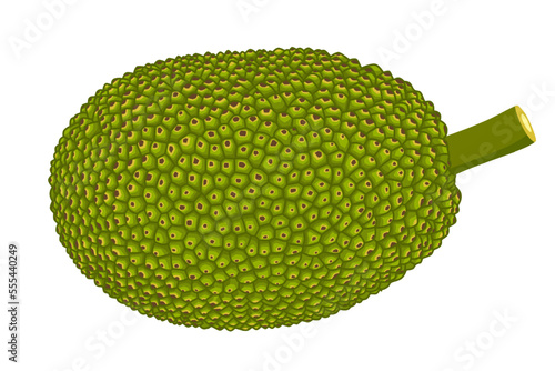 Summer tropical fruits for healthy lifestyle. Jackfruit. Vector illustration cartoon flat icon isolated on white.
