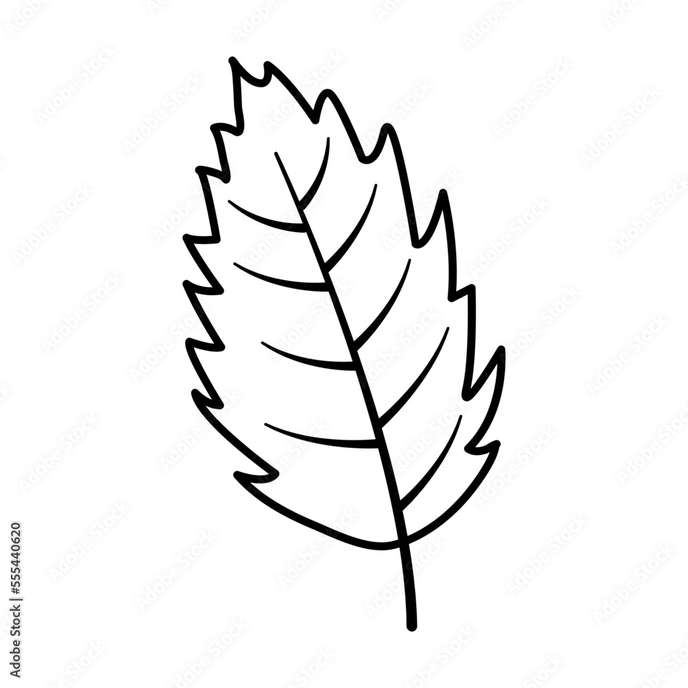 Fototapeta premium Plants doodle