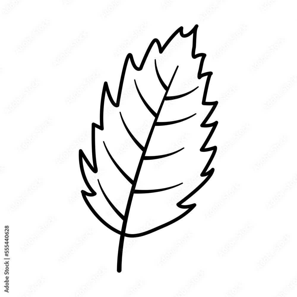 Fototapeta premium Plants doodle