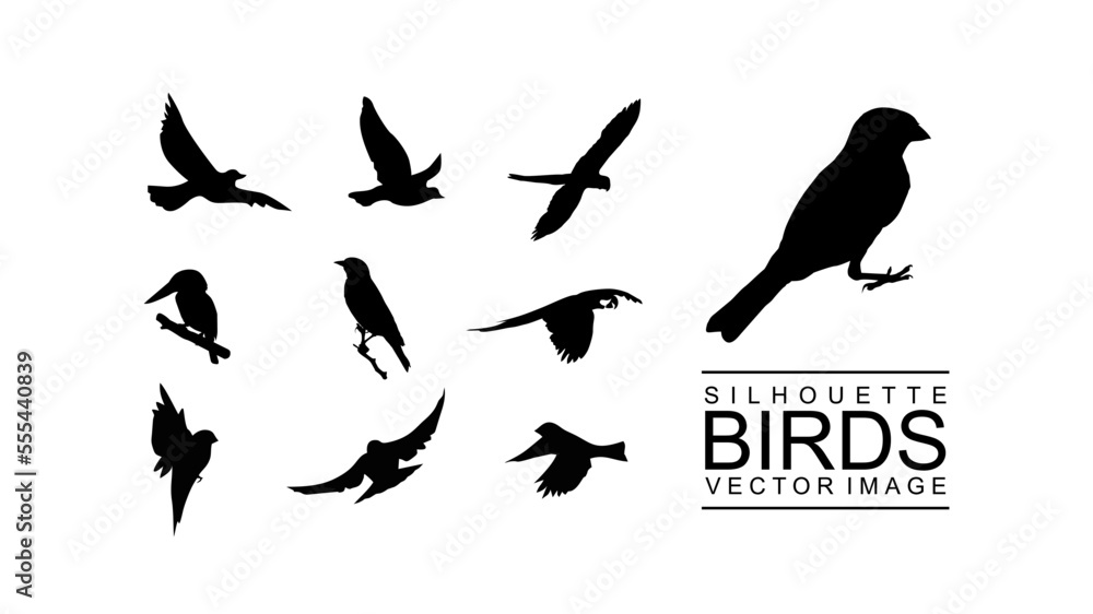 silhouette birds set vector stock silhouette birds set vector stock