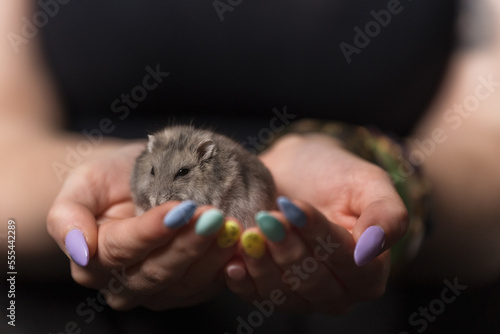 girl holding an hamster