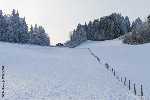Allgäuer Winterlandschaft bei Niedersonthofen.