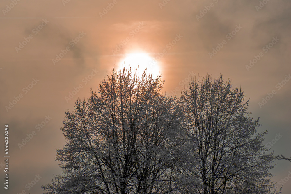 Pastellfarbene Sonne bei aufgelockerter Bewölkung über einer verschneiten Winterlandschaqft mit Bäumen Pastellfarbene Sonne bei aufgelockerter Bewölkung über einer verschneiten Winterlandschaqft mit Bäumen