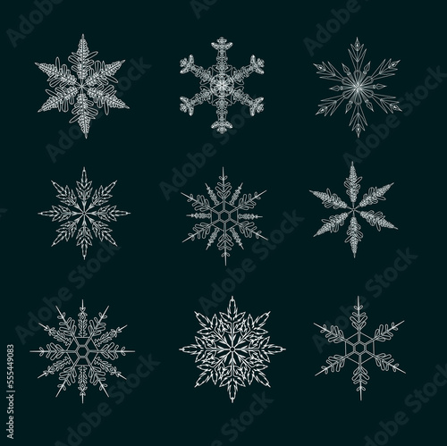 Vector snowflakes on isolated black background. Icons set.