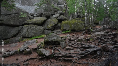 Unique rock sculptures Krasnoyarsk stolby. Giant stone pillars from the mountain and taiga forest, foggy morning
