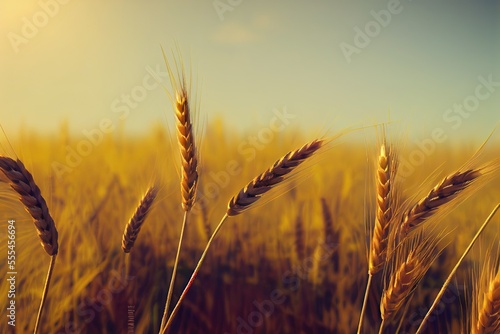 Field of Wheat  Generative AI 