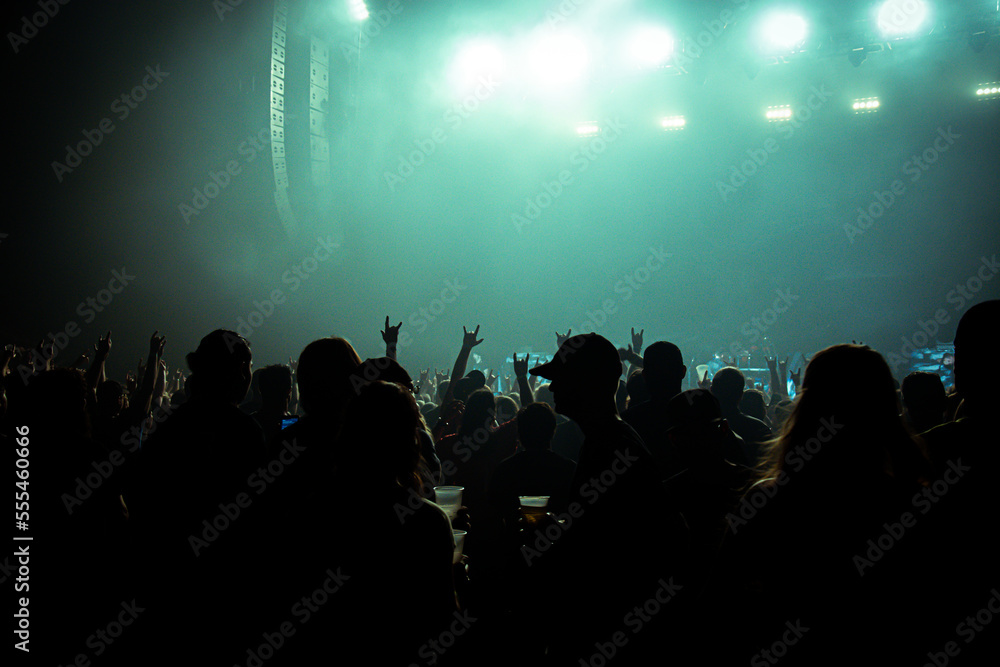 People in silhouette at a concert with green lighting and darkened foreground