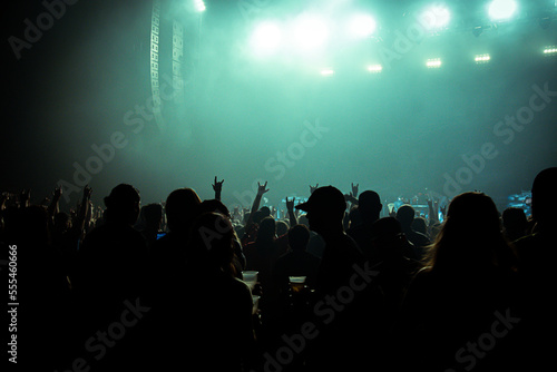 People in silhouette at a concert with green lighting and darkened foreground © V.L Cason