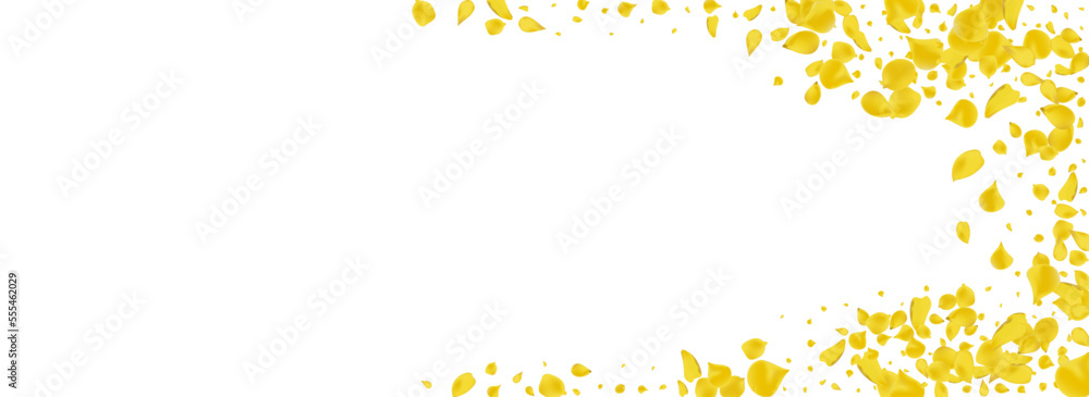 Amber Lotus Flying Vector Panoramic White Amber Lotus Flying Vector Panoramic White