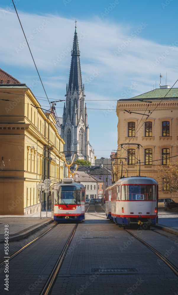 Obraz premium Trams at Denisova Street and Saint Wenceslas Cathedral - Olomouc, Czech Republic