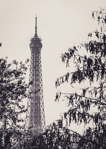 City of Paris Architecture  photo