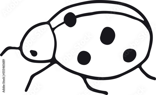 Ladybug doodle. Beetle sketch. Ladybird line drawing