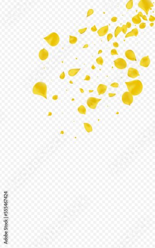 Lemon Rose Japan Vector Transparent Background.